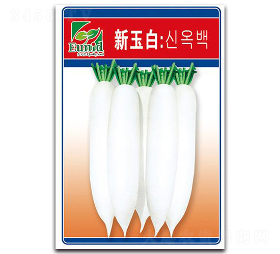 新玉白-白蘿卜種子-中創(chuàng)智豐