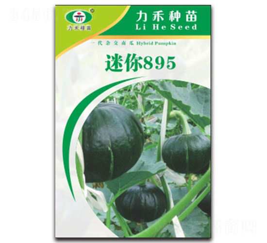 迷你895-南瓜種子-力禾農(nóng)業(yè)