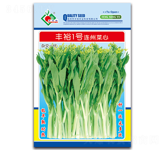 豐裕1號連州菜心-菜心種子-豐裕農業(yè)