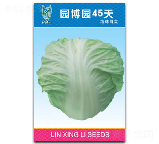 園博園45天-白菜種子-林興利