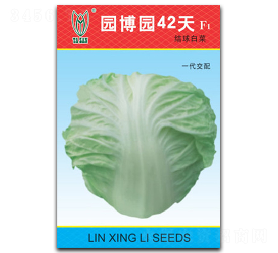 園博園42天-白菜種子-林興利