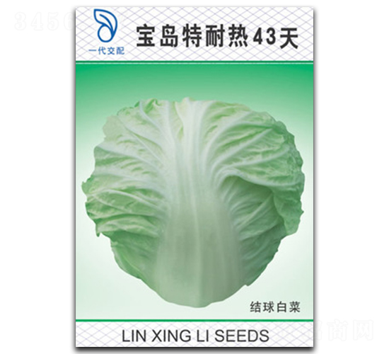 寶島特耐熱43天-白菜種子-林興利