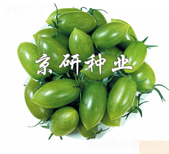 綠寶石2號-番茄種子-京研