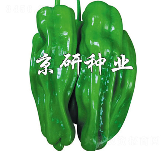 博悅2號(hào)-辣椒種子-京研