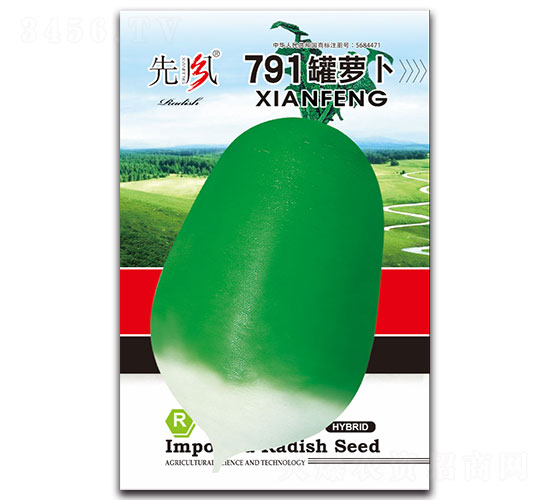 791罐蘿卜-蘿卜種子-先風