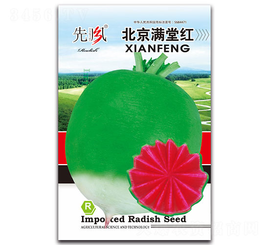 北京滿堂紅-蘿卜種子-先風(fēng)