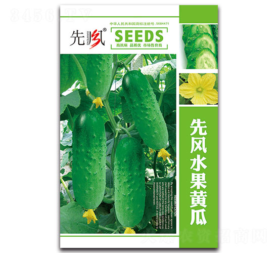 先風水果黃瓜-黃瓜種子-先風