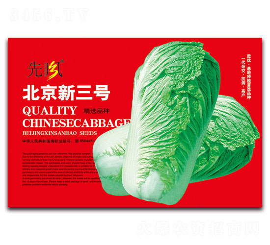 北京新三號-大白菜種子-先風(fēng)