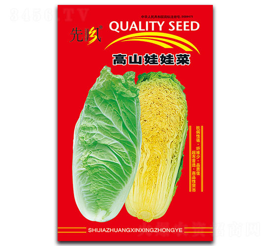 高山娃娃菜-白菜種子-先風(fēng)