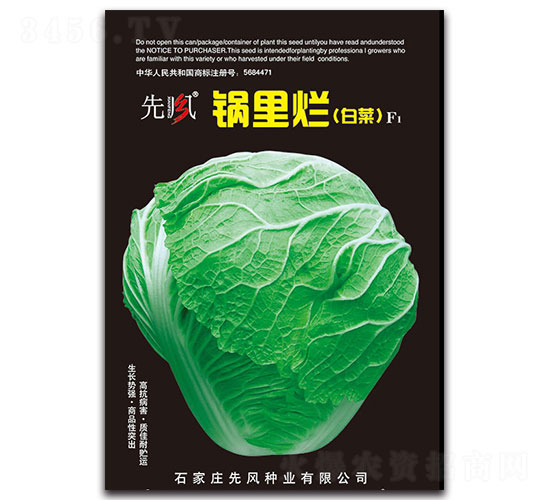 鍋里爛（白菜）F1-白菜種子-先風(fēng)