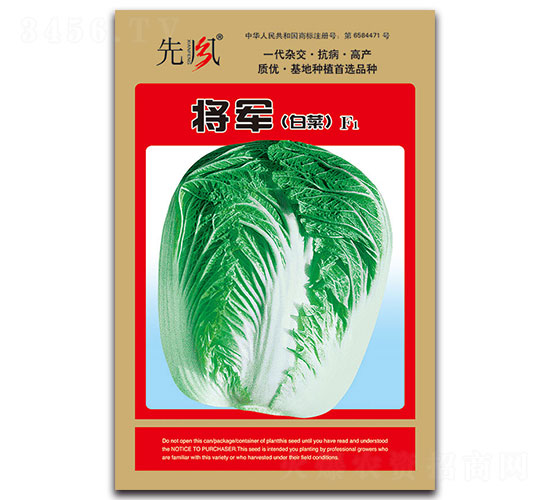 將軍（白菜）F1-白菜種子-先風