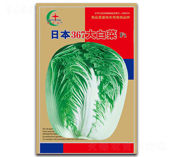 日本367大白菜F1-白菜種子-先風