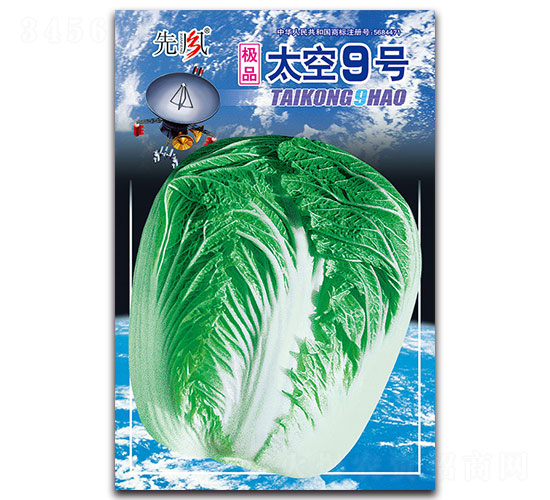 太空9號-白菜種子-先風