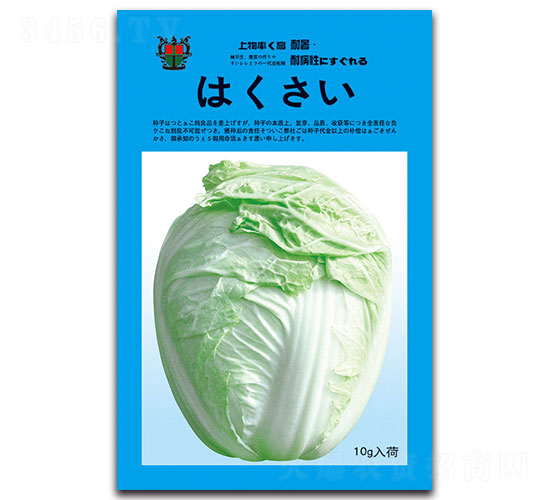 夏陽早48-白菜種子-先風
