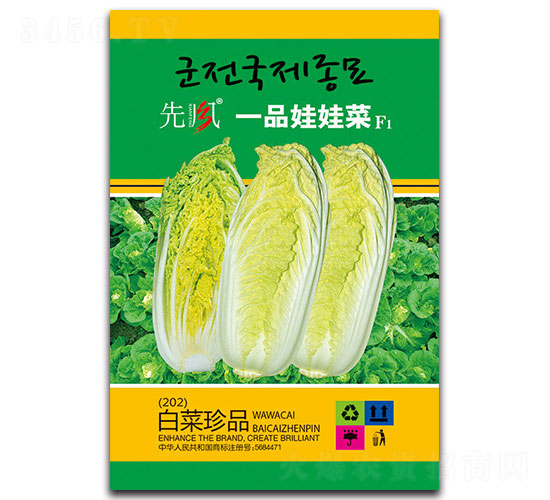一品娃娃菜F1-白菜種子-先風(fēng)