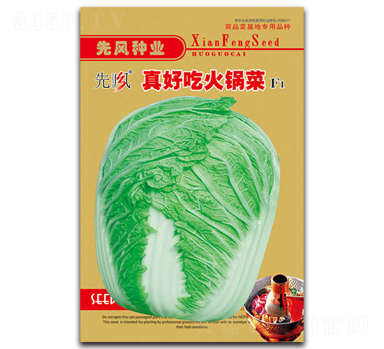 真好吃火鍋菜F1-白菜種子-先風(fēng)