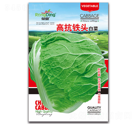 高抗鐵頭白菜-白菜種子-先風(fēng)