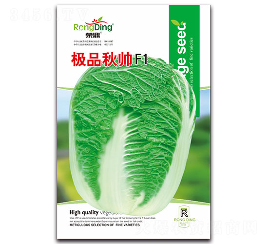 極品秋帥-白菜種子-先風