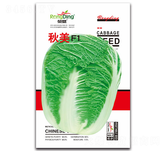 秋美F1-白菜種子-先風(fēng)