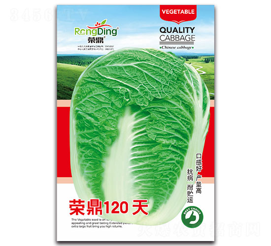 榮鼎120天-白菜種子-先風