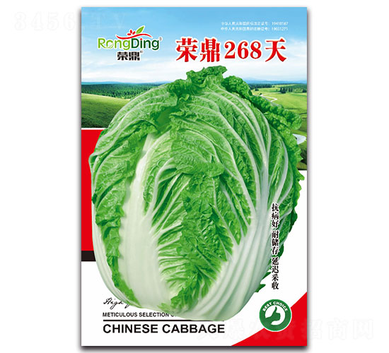 榮鼎268天-白菜種子-先風