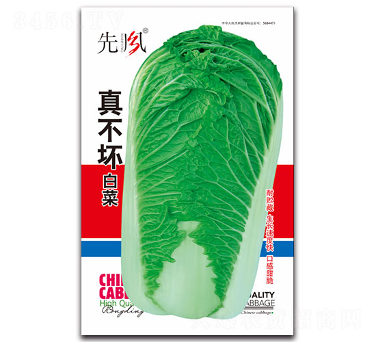 真不壞白菜-白菜種子-先風(fēng)