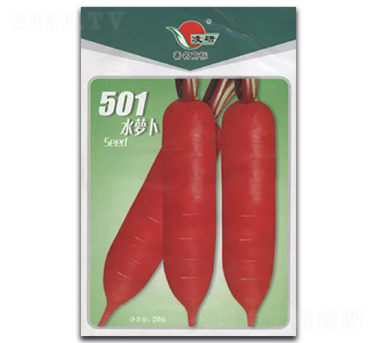 501水蘿卜-蘿卜種子-仁大農(nóng)業(yè)