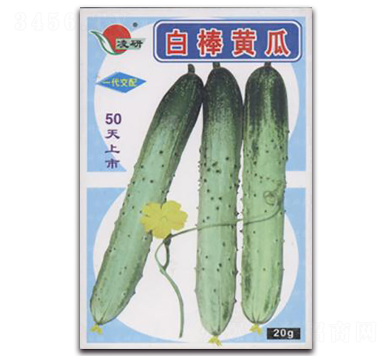 白棒黃瓜-黃瓜種子-仁大農業(yè)
