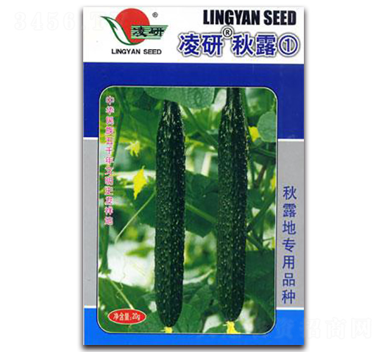 凌研秋露①-黃瓜種子-仁大農(nóng)業(yè)