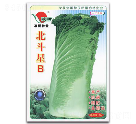 北斗星B-白菜種子-仁大農(nóng)業(yè)