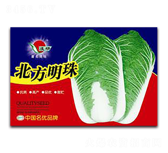 北方明珠-白菜種子-仁大農(nóng)業(yè)