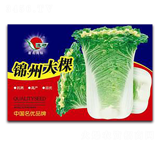 錦州大棵-白菜種子-仁大農業(yè)