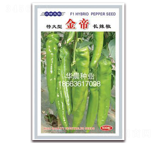 金帝-辣椒種子-華晨種業(yè)