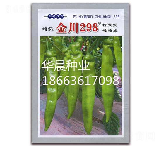 金川298-辣椒種子-華晨種業(yè)