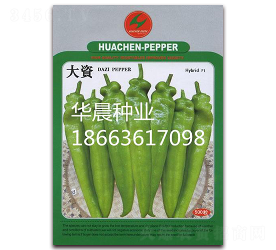 大資-辣椒種子-華晨種業(yè)