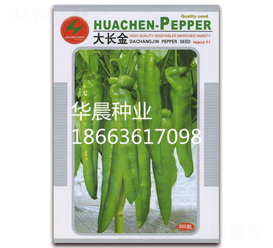 大長金-辣椒種子-華晨種業(yè)