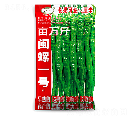 閩螺一號-辣椒種子-曉富種子