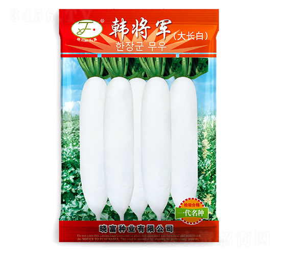 韓將軍大長白-蘿卜種子-曉富種子