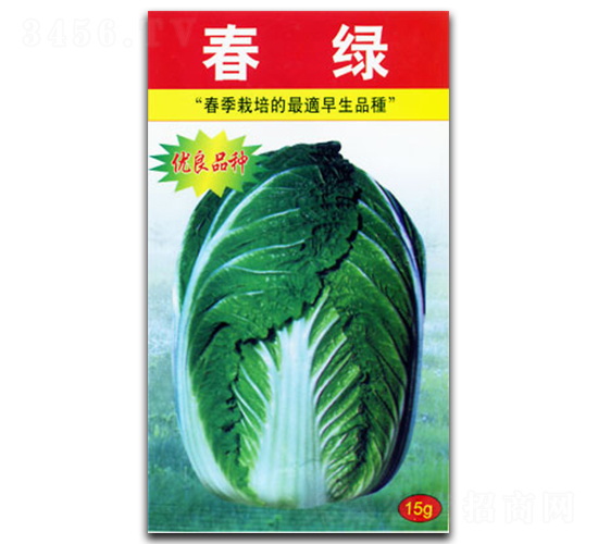 春綠-白菜種子-官明天成