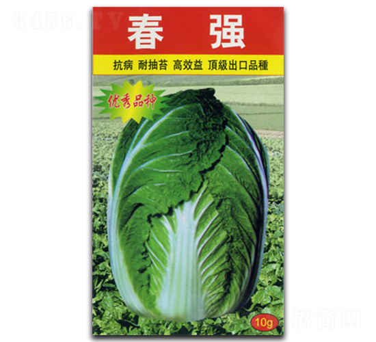 春強-白菜種子-官明天成