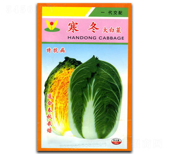 寒冬-白菜種子-官明天成