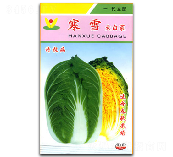 寒雪-白菜種子-官明天成
