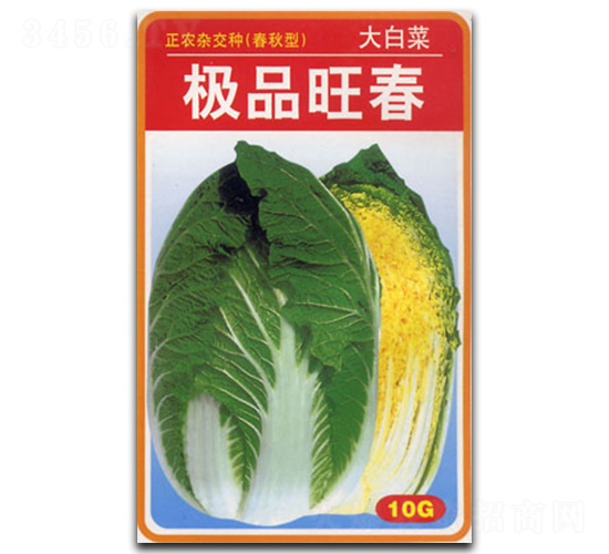 極品旺春-白菜種子-官明天成