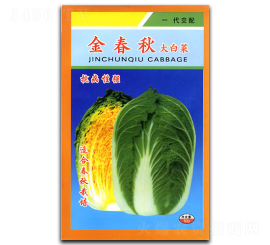 金春秋-白菜種子-官明天成