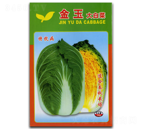 金玉-白菜種子-官明天成