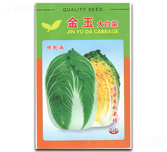 金玉大白菜-白菜種子-官明天成