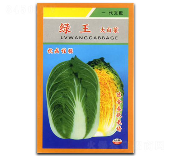 綠王-白菜種子-官明天成