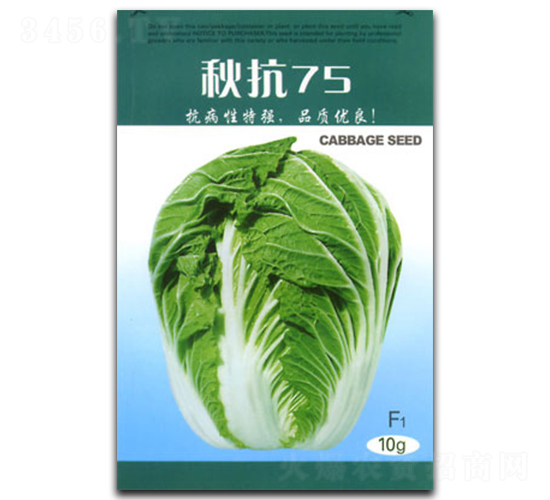 秋抗75-白菜種子-官明天成