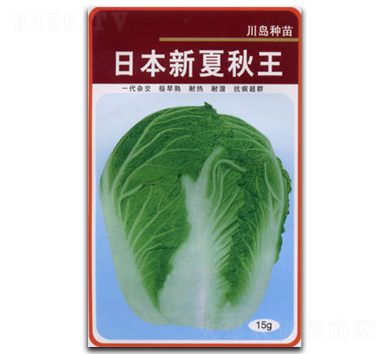 日本新夏秋王-白菜種子-官明天成