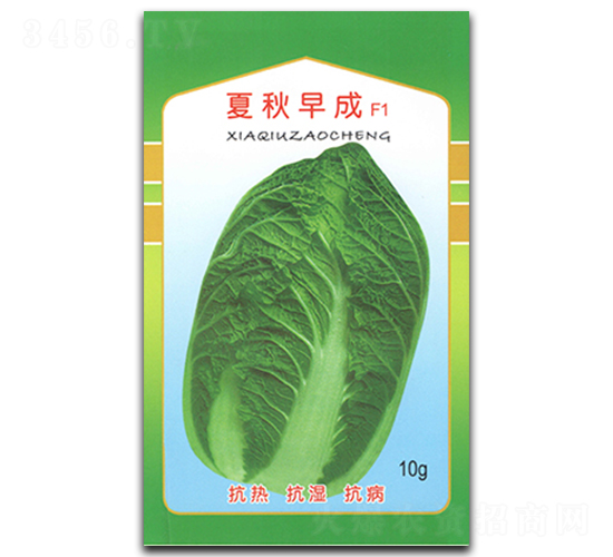 夏秋早成-白菜種子-官明天成